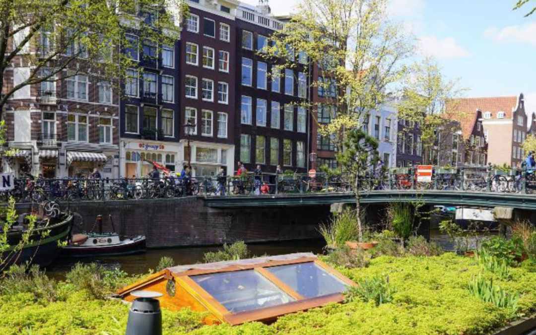 Counter for heritage and sustainability – Amsterdam, The Netherlands